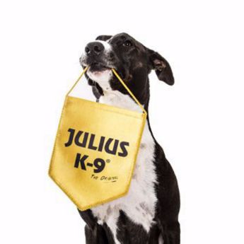 Picture for manufacturer Julius-K9®