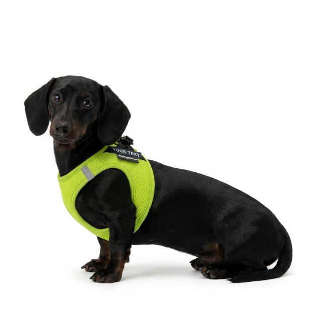 Picture of P24S® SMART Step-In dogharness S + 2 pcs Custom Patches 