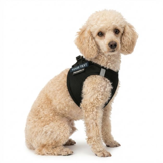 Picture of P24S® SMART Step-In dogharness XL + 2 pcs Custom Patches