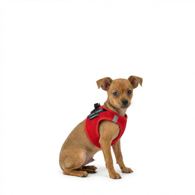 Picture of P24S® SMART Step-In dogharness 3XS + 2 pcs Custom Patches - copy