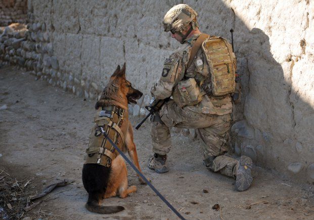 Dog-and-soldier